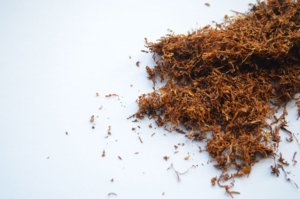 ¿CUÁL ES EL ORIGEN DEL TABACO?