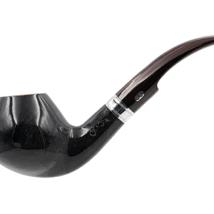cc 2024 209 1
